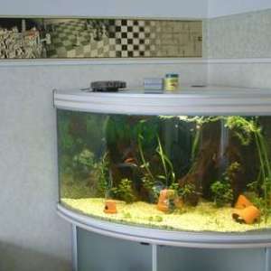 7ea01d93c606b5aa64f7d996e9925ca4.jpg
24946
jpg