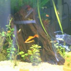 0742b4629b71614ae79c85d03213de07.jpg
28954
jpg