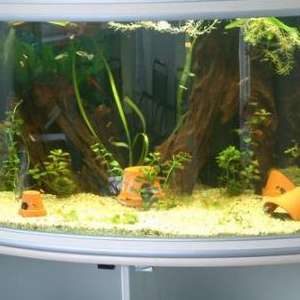 fd9f49da7fb5cf7583b6511c420e8603.jpg
31180
jpg