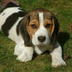 3e4e2c625384d01e45f1b11ee75b6ee2.jpg
325024
jpg