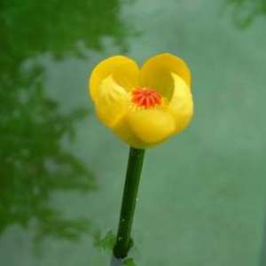 47f22c837bc08d88f7d98835183f7546.jpg
11366
jpg